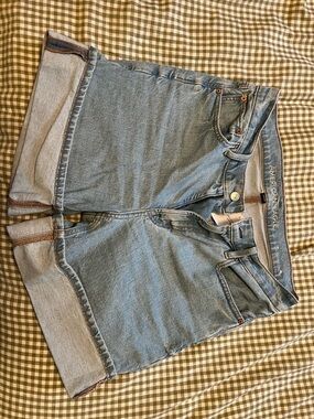 American Eagle Outfitters Strigid Light Blue Relaxed Denim Shorts